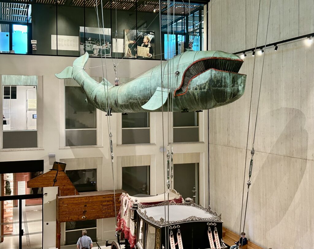 Der Walfisch "Poldi" hängt im Wien Museum. 