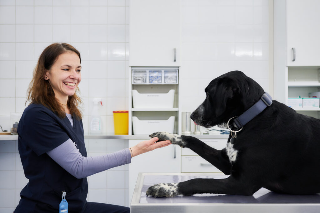 Tierärztin Nina Leonard in ihrer Praxis mit Hund Henry.