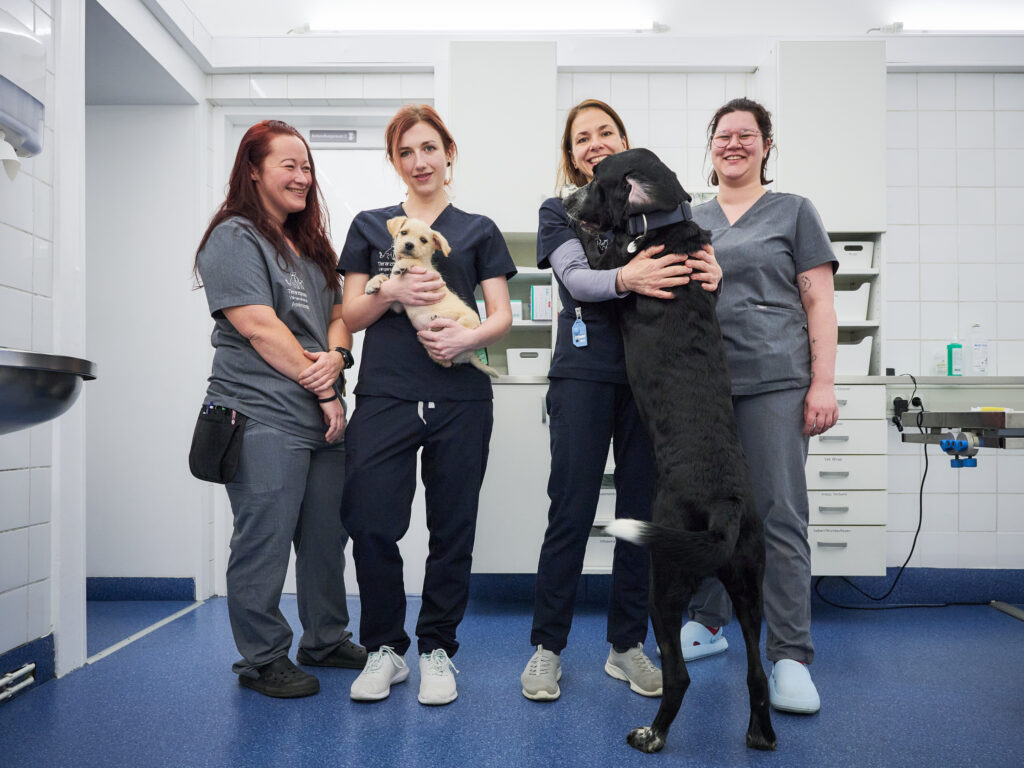 Das Team der Tierarztpraxis Vorgartenstraße.